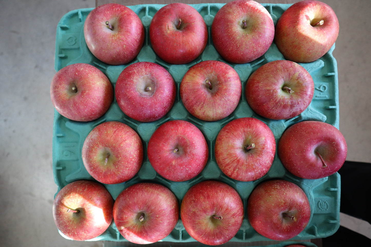 【自家用】サンふじ