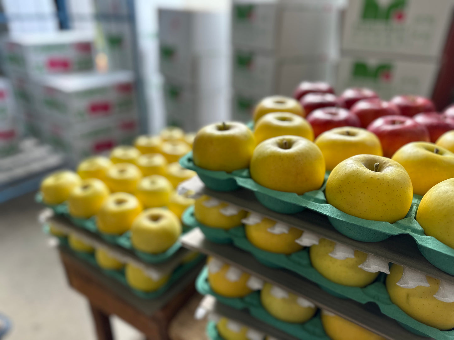 【家庭用詰合せ】シナノスイート&シナノゴールド