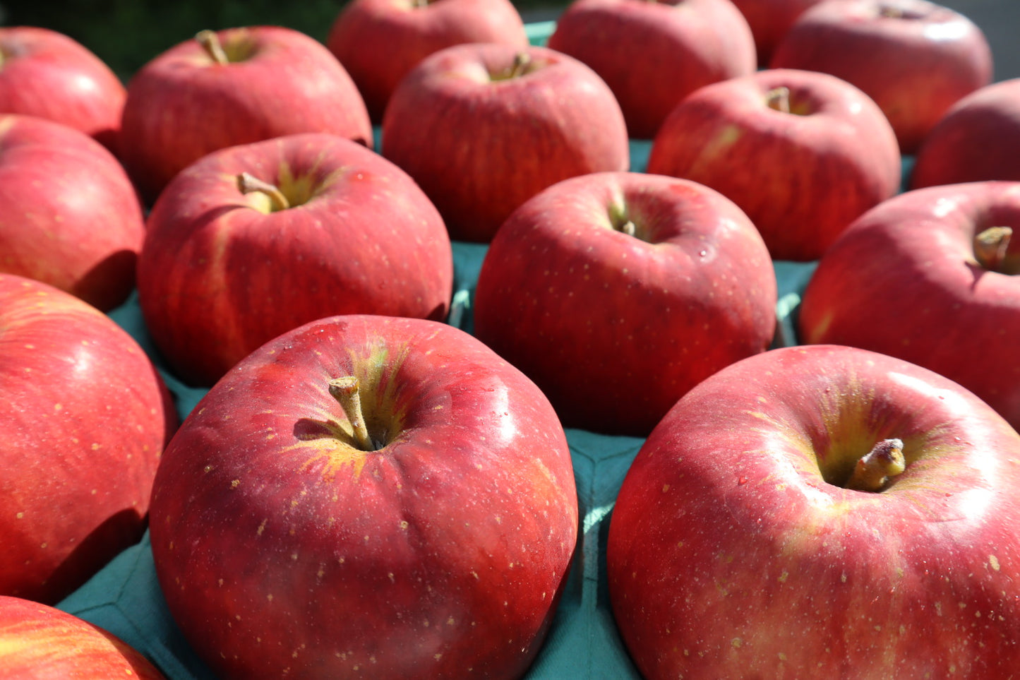 リンゴジュース