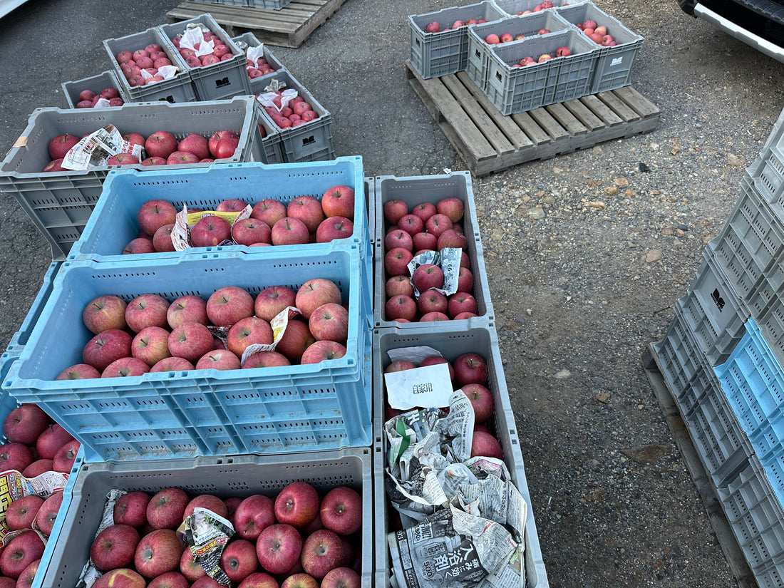 11/18  13時オープン