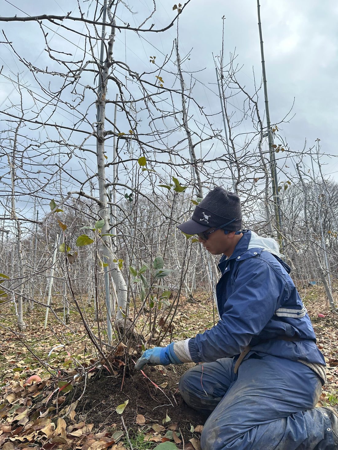 営業終了しました！