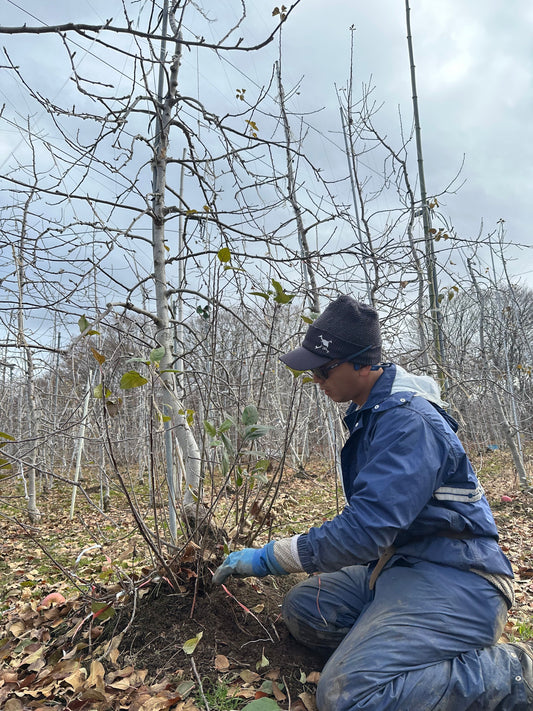 営業終了しました！