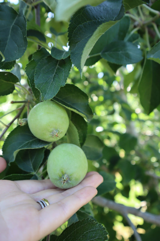 もう夏になった？！