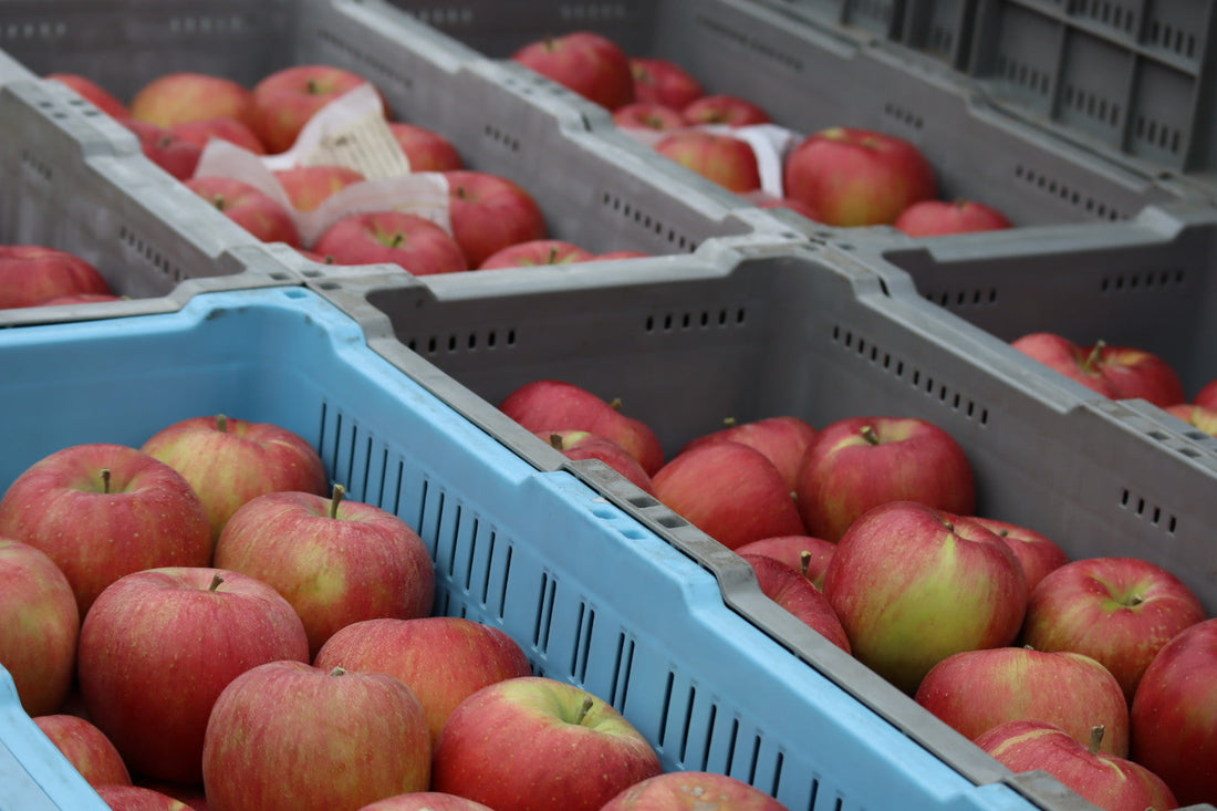 明日（10/19）の営業について