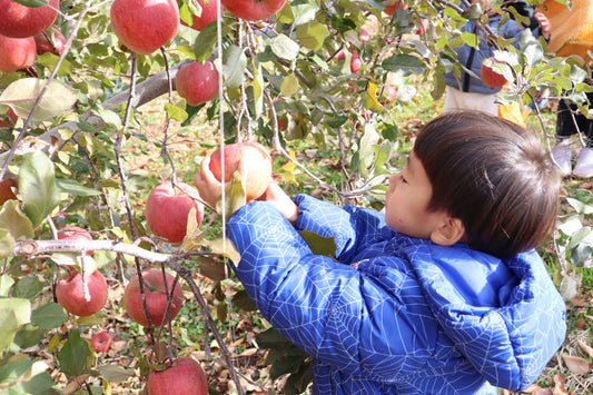 明日からお休みです！