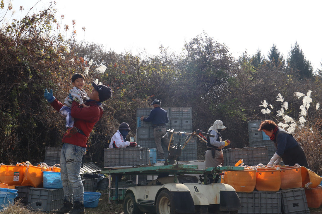 今シーズンの発送受付終了のお知らせ