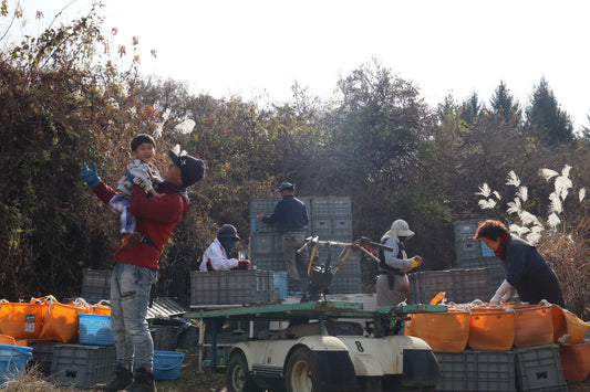 今シーズンの発送受付終了のお知らせ