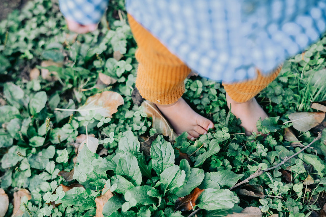 11/16 【直売所お休み】