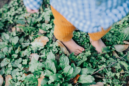 11/16 【直売所お休み】