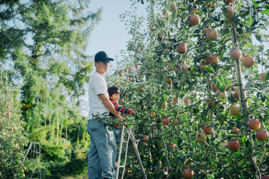 11/10 【臨時休業】