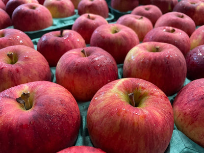 【家庭用】つがる